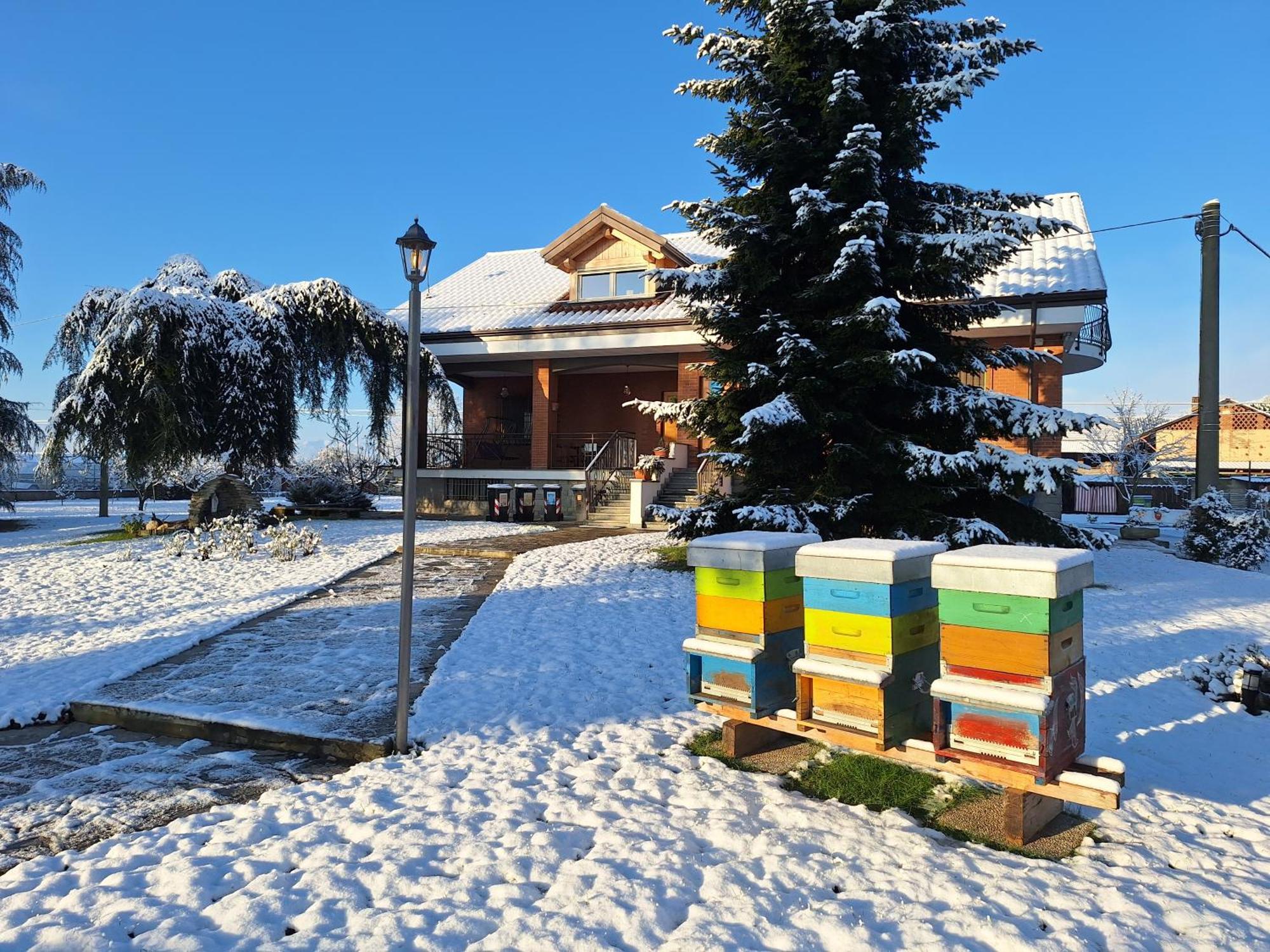 Casa Matilde Villa Leinì Eksteriør bilde
