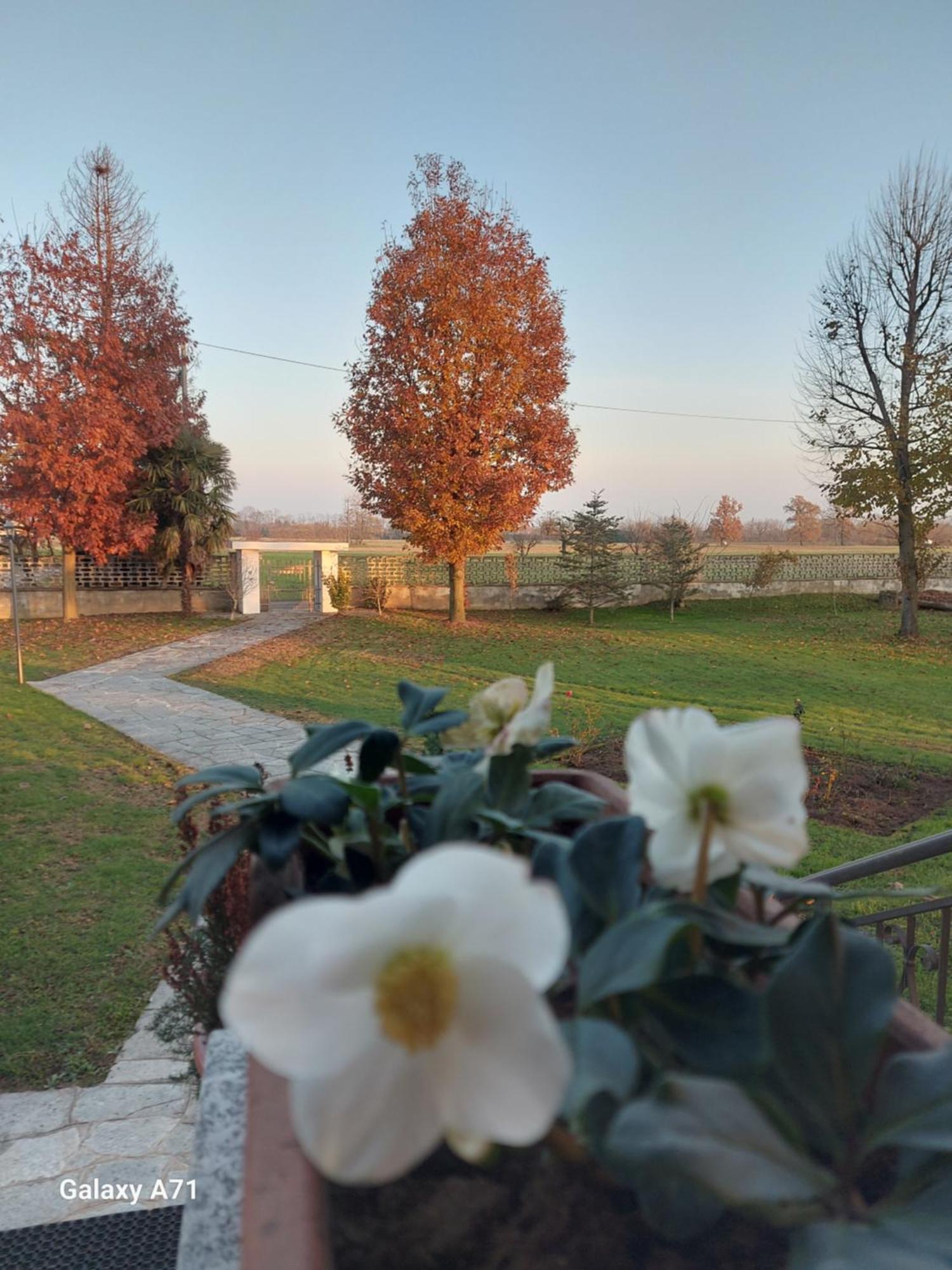 Casa Matilde Villa Leinì Eksteriør bilde